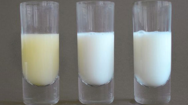Sữa non có màu vàng đục nằm ngoài bên trái
