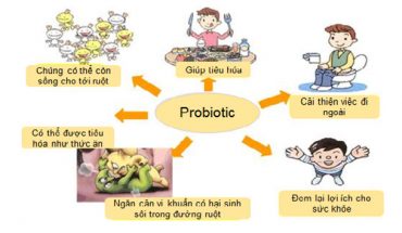 Probiotic là gì