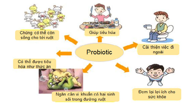 Probiotic là gì